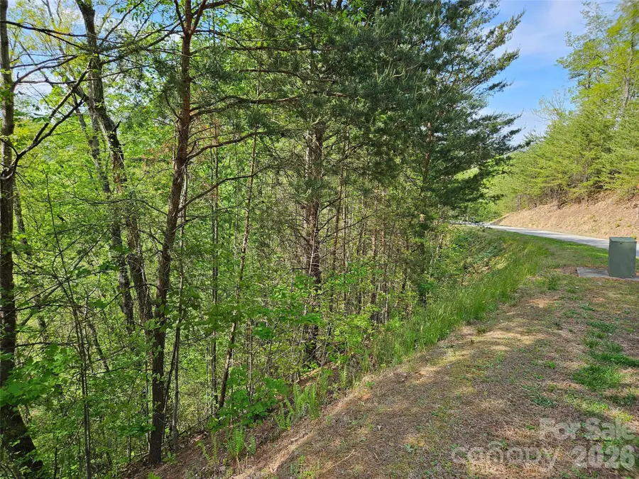 0 High Pines Loop #101, Lake Lure, NC 28746 - #3