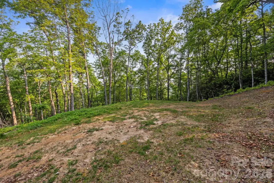 251 Paul Mccoy Road, Lake Toxaway, NC 28747 - #2