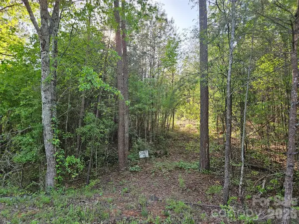 0 Old Hollis Road #2, Ellenboro, NC 28040