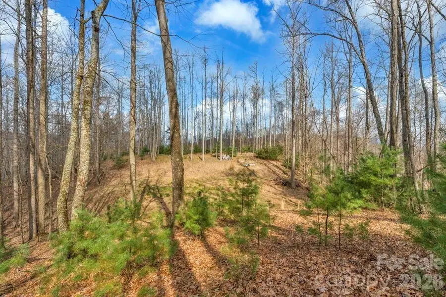 tbd Denney Wood Road, Sugar Grove, NC 28679 - #2