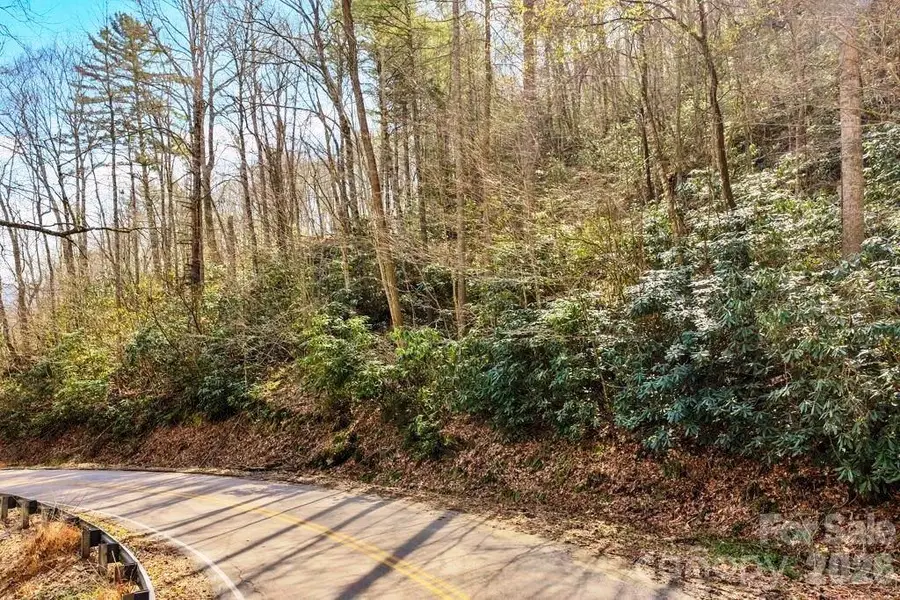 tbd Rominger Road, Sugar Grove, NC 28679 - #3
