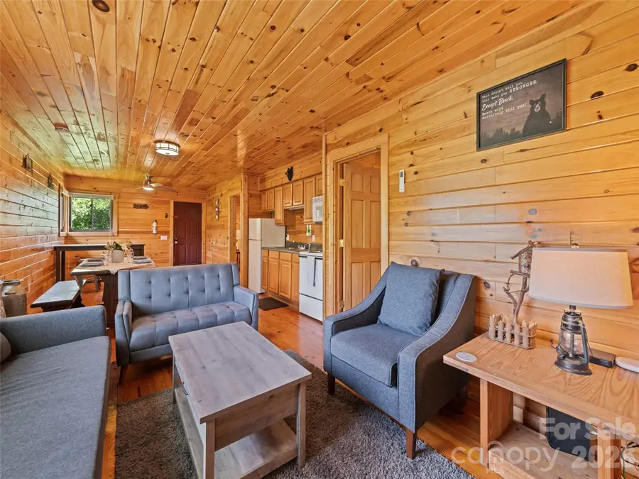 299 Blue Ridge Parkway, Bryson City, NC 28713 - #3