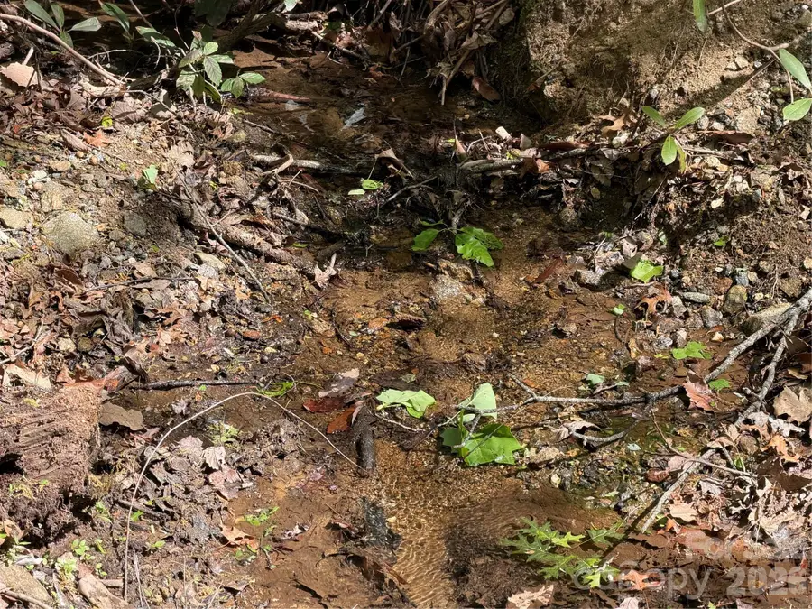 00 Lakeview Drive #414/415, Tryon, NC 28782 - #2