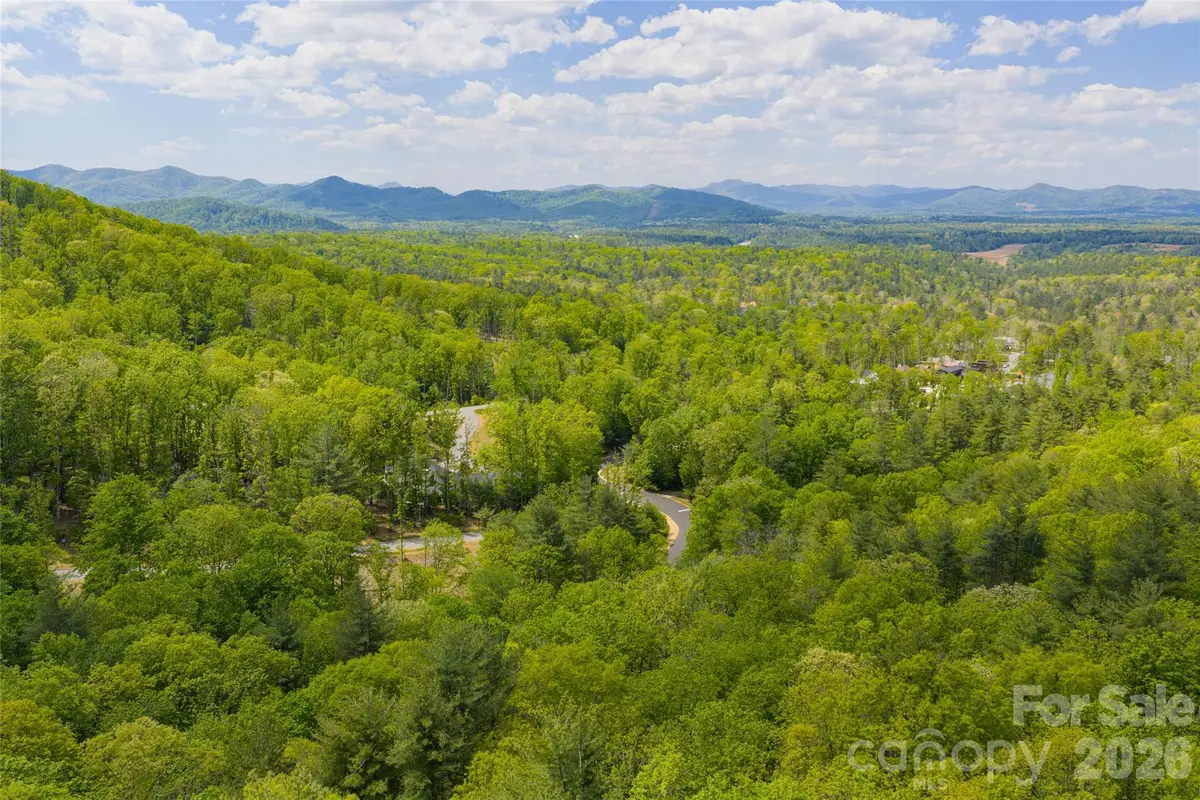 693 Tea House Drive #905, Asheville, NC 28803 - #1