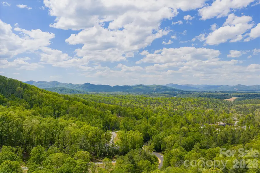 693 Tea House Drive #905, Asheville, NC 28803 - #2