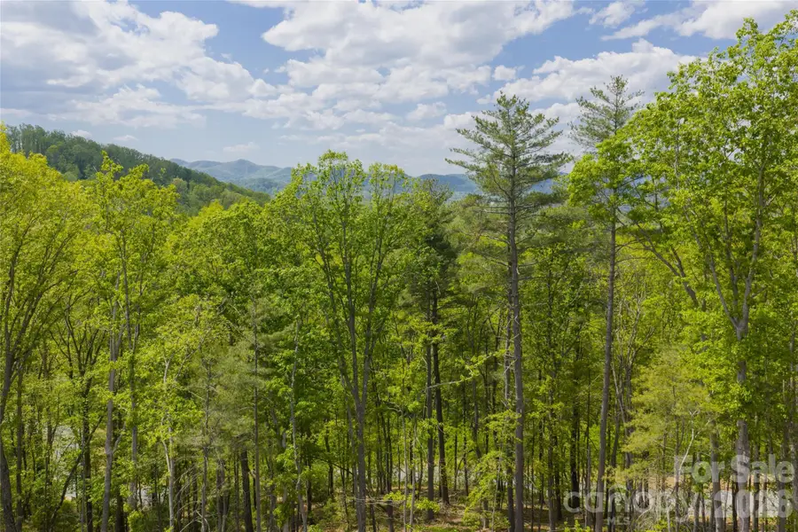 693 Tea House Drive #905, Asheville, NC 28803 - #3
