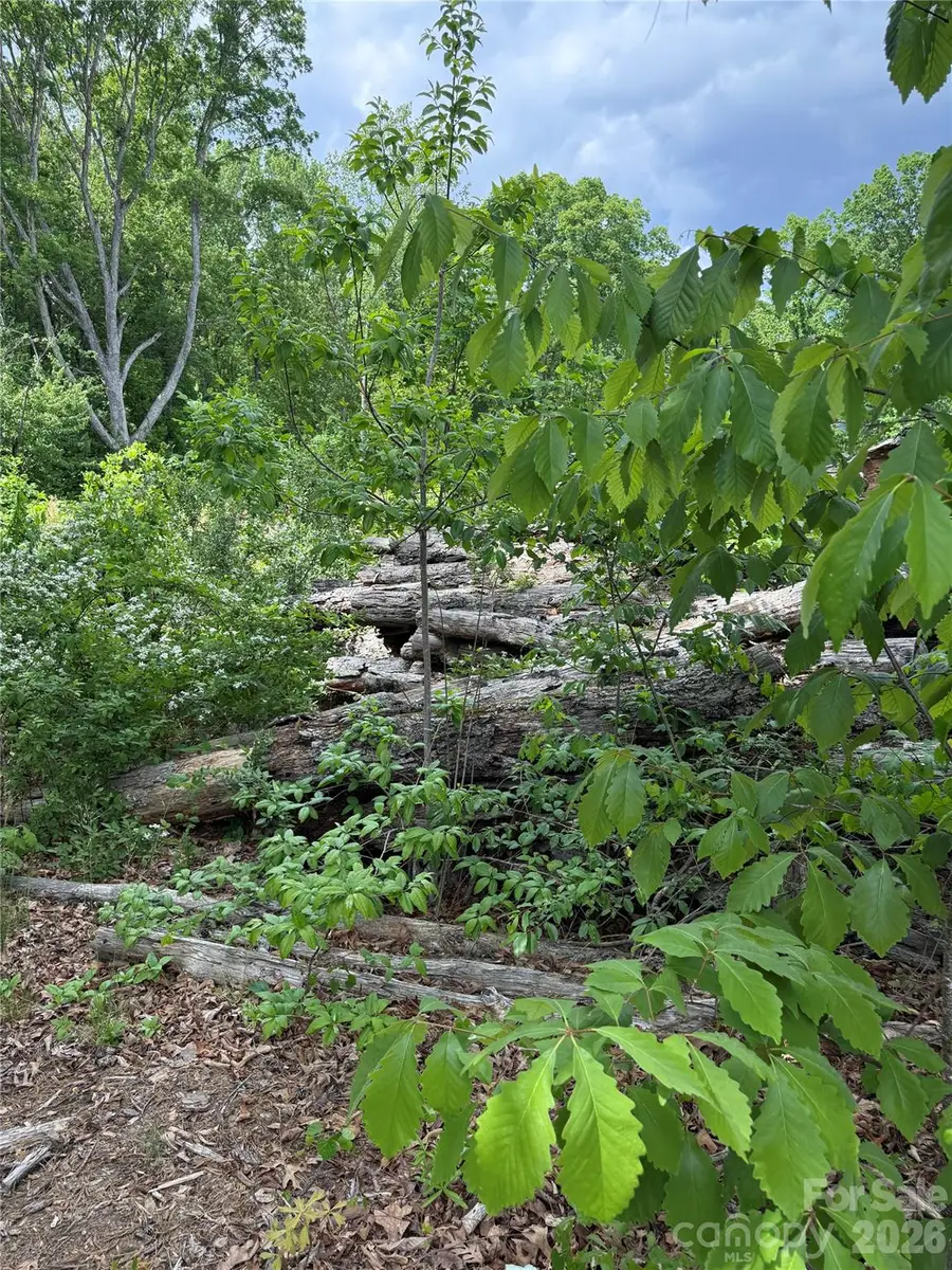 495 Forest View Drive, Kannapolis, NC 28081 - #3