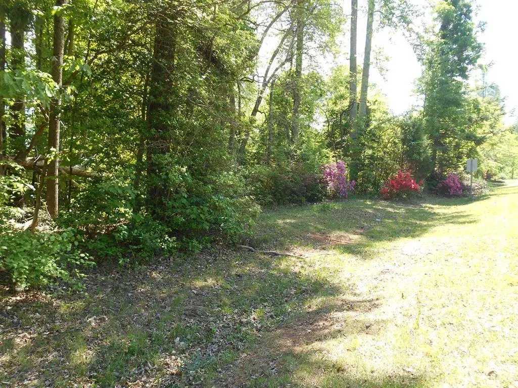 1 Tin Mine Road #1, Lincolnton, NC 28092 - #1