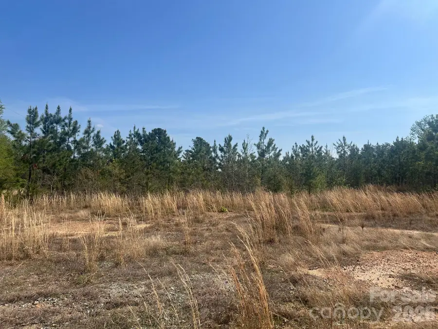 6374 Peniel Road, Tryon, NC 28782 - #3