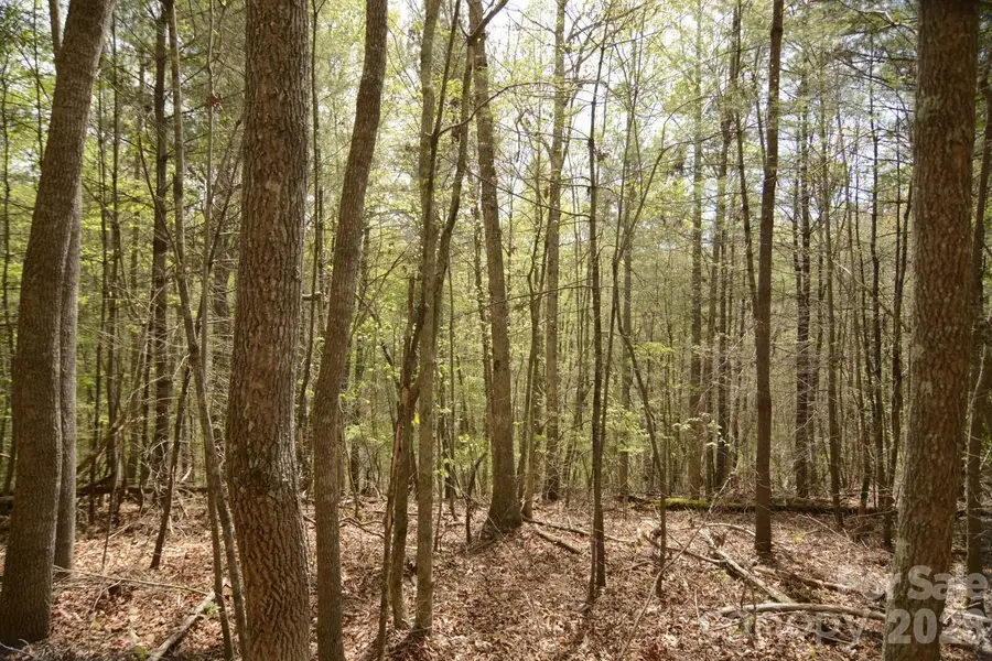 00 Garnet Drive, Leicester, NC 28748 - #3