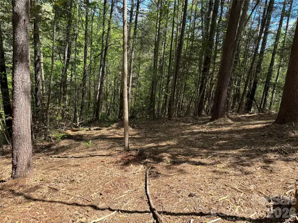 1665 Round Mountain Parkway #69, Lenoir, NC 28645