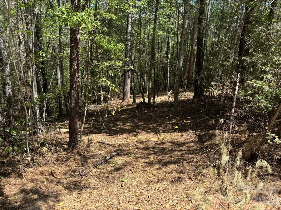 1665 Round Mountain Parkway #69, Lenoir, NC 28645 - #2