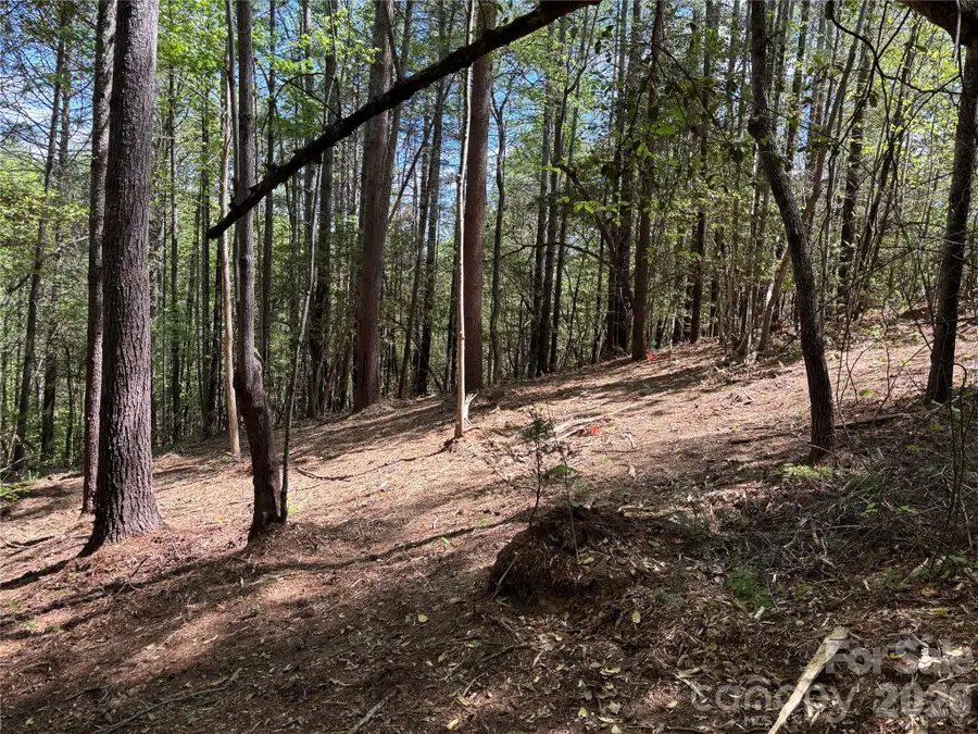 1665 Round Mountain Parkway #69, Lenoir, NC 28645 - #3