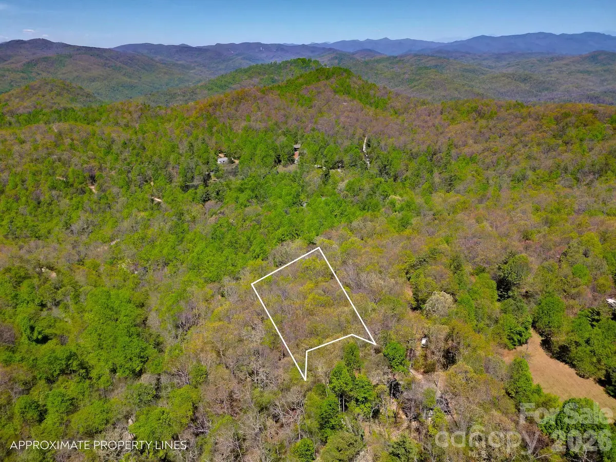99999 Laurel Drive, Black Mountain, NC 28711 - #1