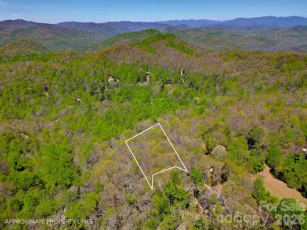 99999 Laurel Drive, Black Mountain, NC 28711