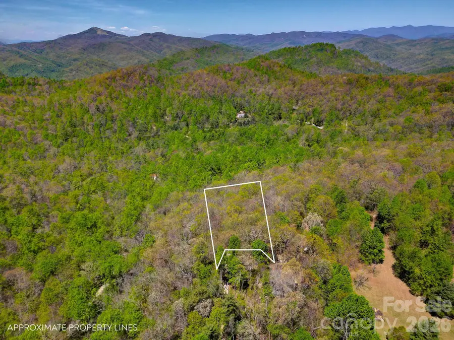 99999 Laurel Drive, Black Mountain, NC 28711 - #2