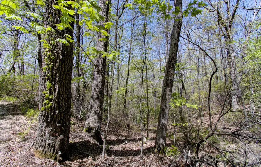 99999 Laurel Drive, Black Mountain, NC 28711 - #3