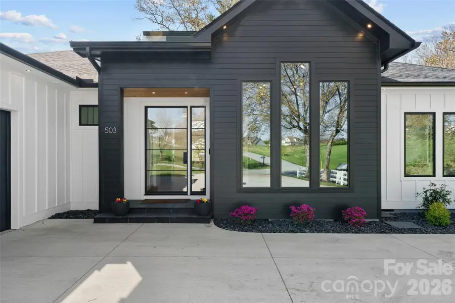 503 Nesbitt Drive, Mills River, NC 28759 - #3