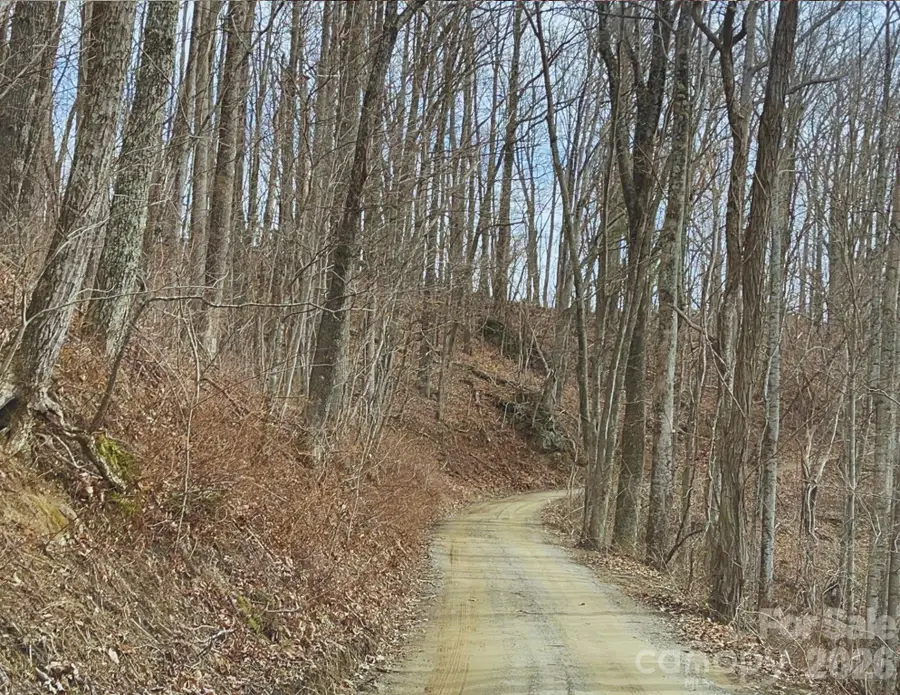 130 Gavin Glenn Road, Weaverville, NC 28787 - #3