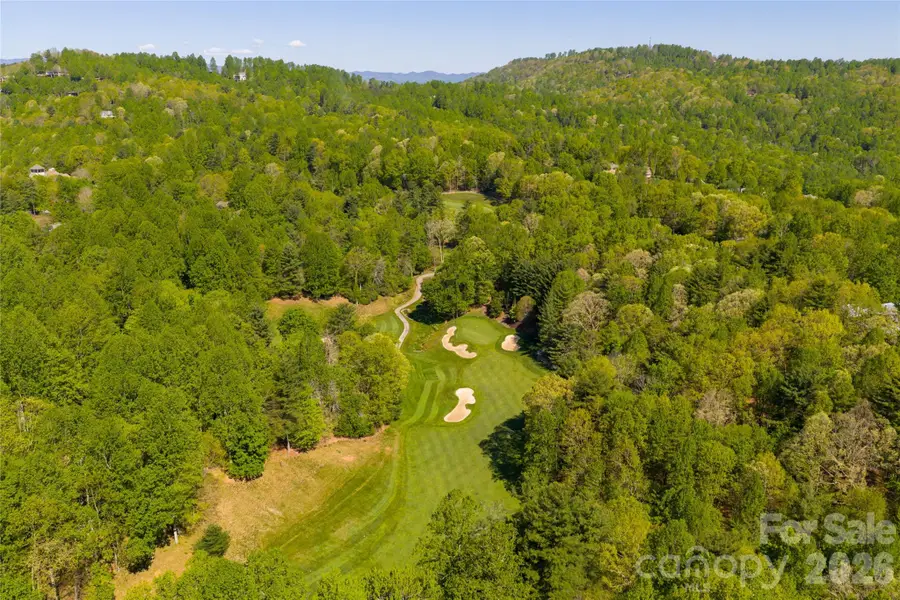 7 Cooper Cove S, Hendersonville, NC 28739 - #3