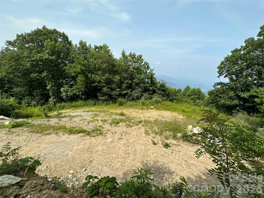 1170 Gabe Laugher Road, Hendersonville, NC 28792 - #2