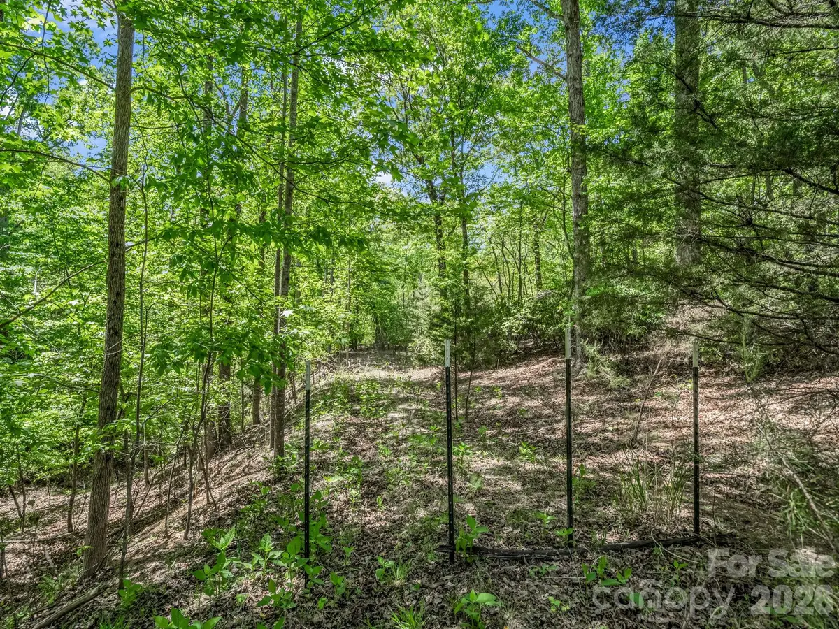 206 Westmoreland Trail #8, Tryon, NC 28782 - #1