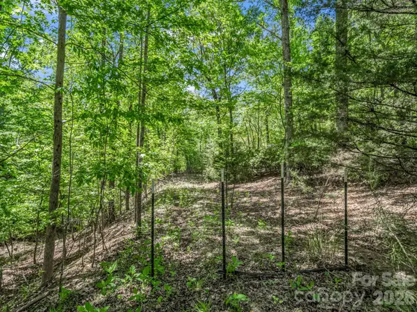 206 Westmoreland Trail #8, Tryon, NC 28782