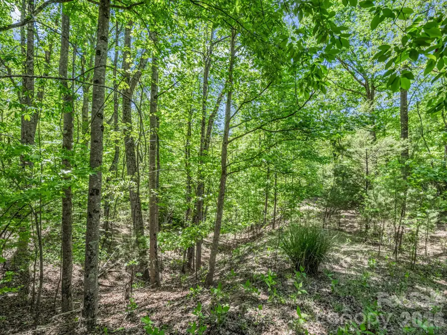 206 Westmoreland Trail #8, Tryon, NC 28782 - #2