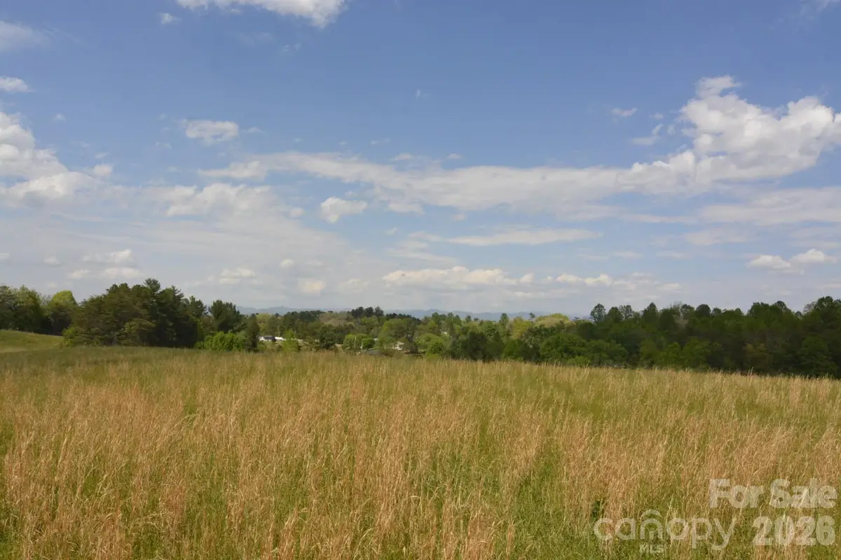 16 Rocking Chair Lane, Leicester, NC 28748 - #1