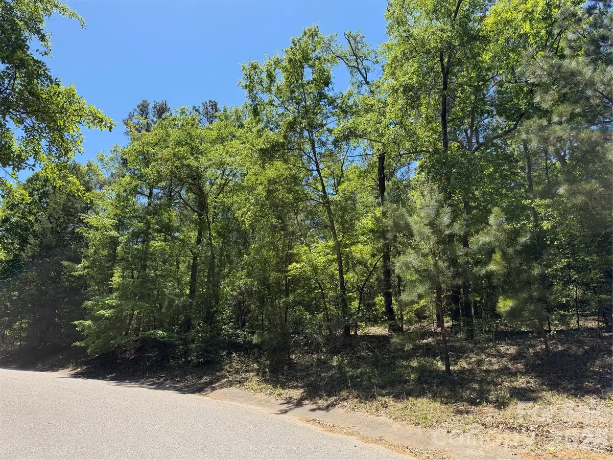 170 Lake Mallard Lane, Camden, SC 29020 - #1