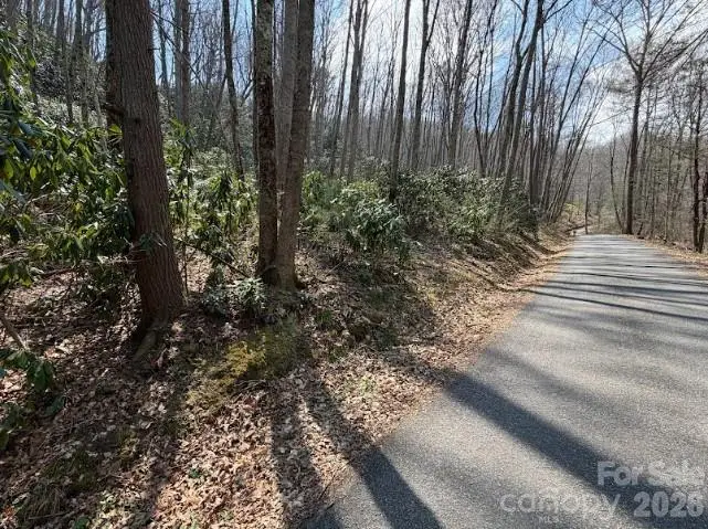 TBD Coyote Hollow Road #66, Waynesville, NC 28785 - #2