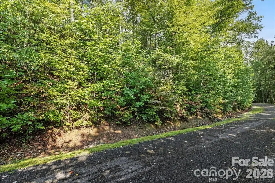 TBD Barts Branch Drive #13, Balsam Grove, NC 28708 - #2