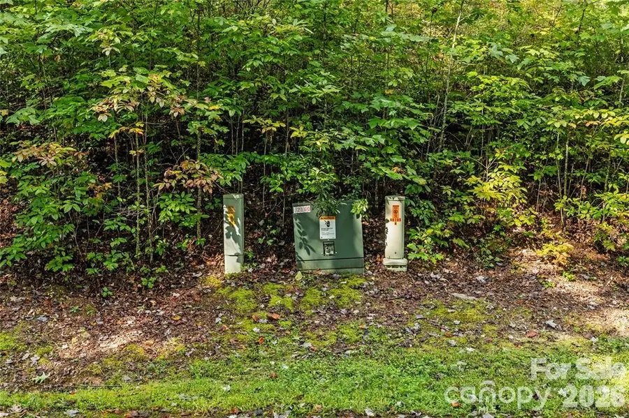 TBD Barts Branch Drive #14, Balsam Grove, NC 28708 - #2