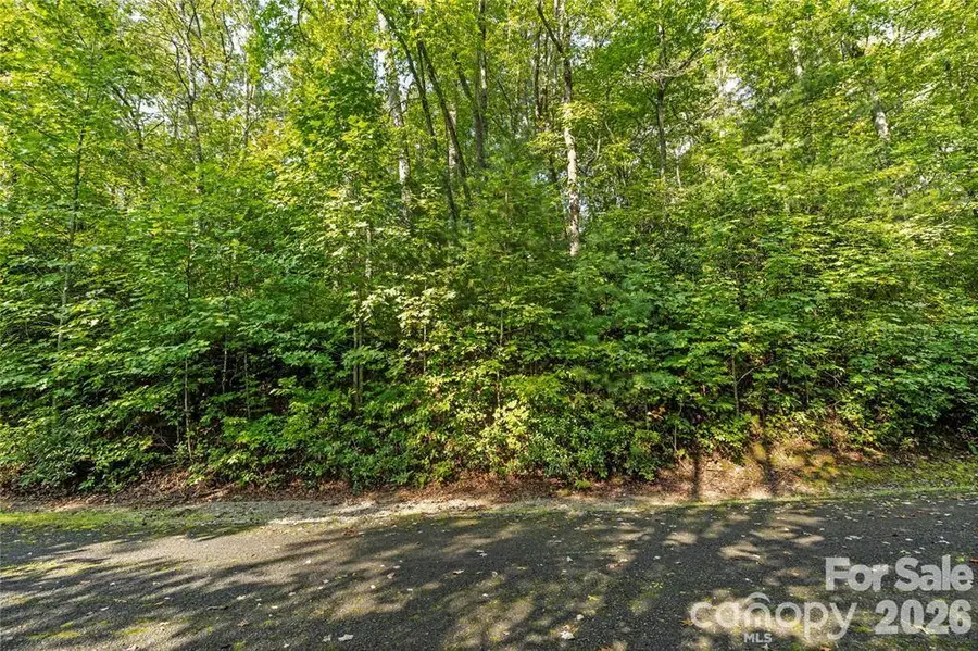 TBD Barts Branch Drive #16, Balsam Grove, NC 28708 - #2