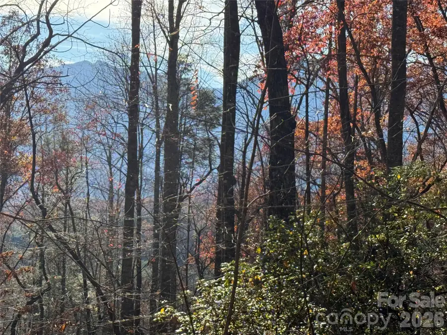 0000 Halls Chapel Road, Burnsville, NC 28714 - #2