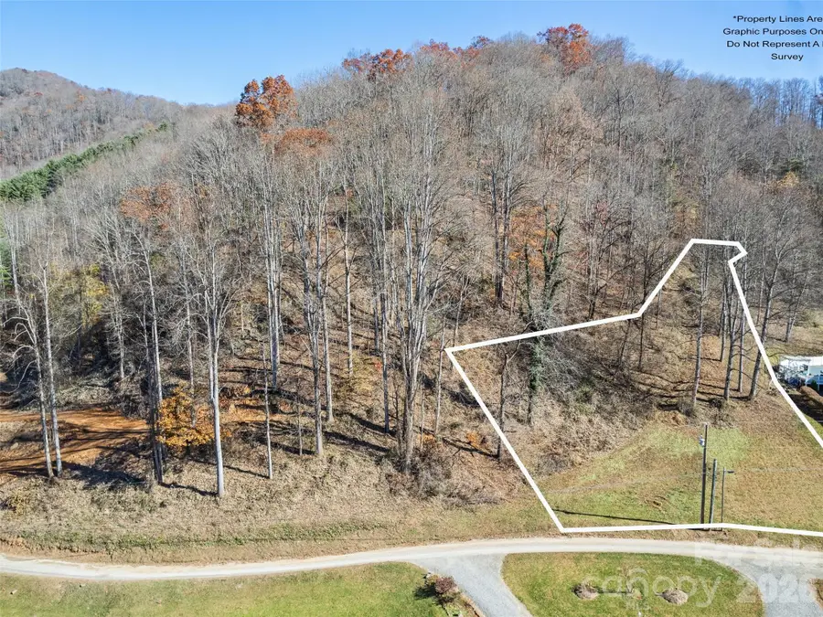 Tract 4: Lot 5 White Birch Drive, Sylva, NC 28779 - #2