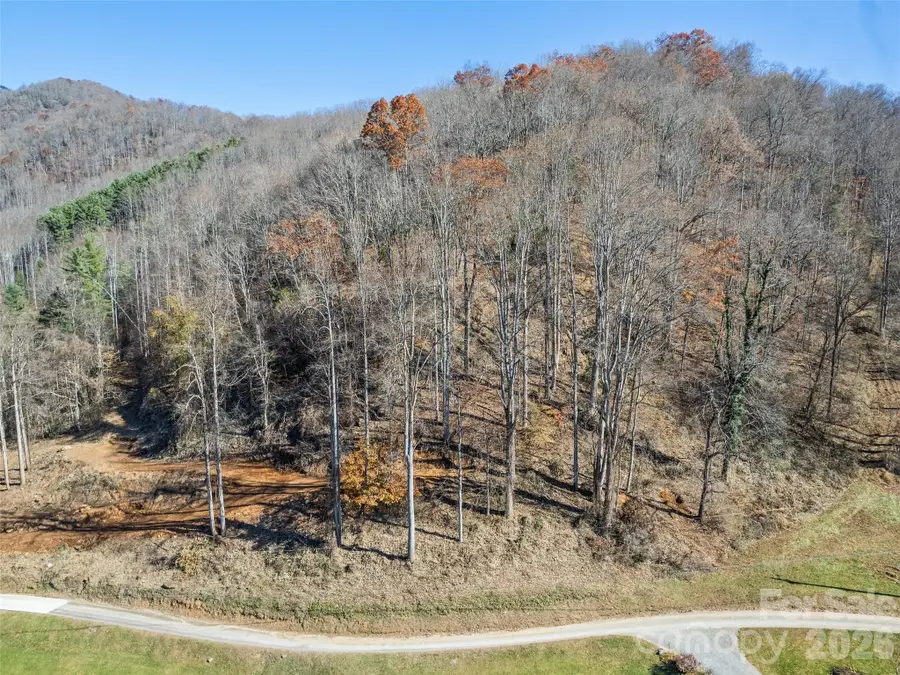 Tract 4: Lot 5 White Birch Drive, Sylva, NC 28779 - #3
