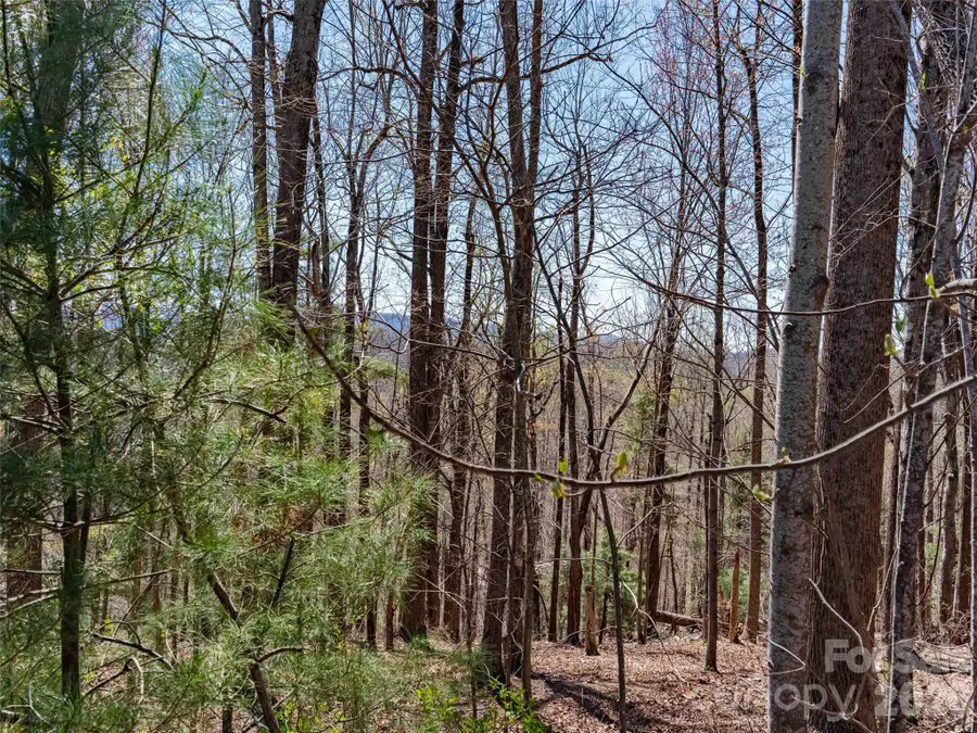 000 Glen Echo Circle, Saluda, NC 28773 - #3