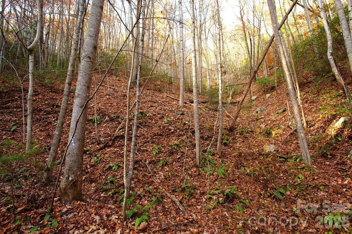 TBD Rector Branch Road #4, 5 Walnut, NC 28743 - #1