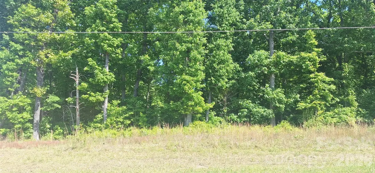 620 Long Shoals Road, Lincolnton, NC 28092 - #1