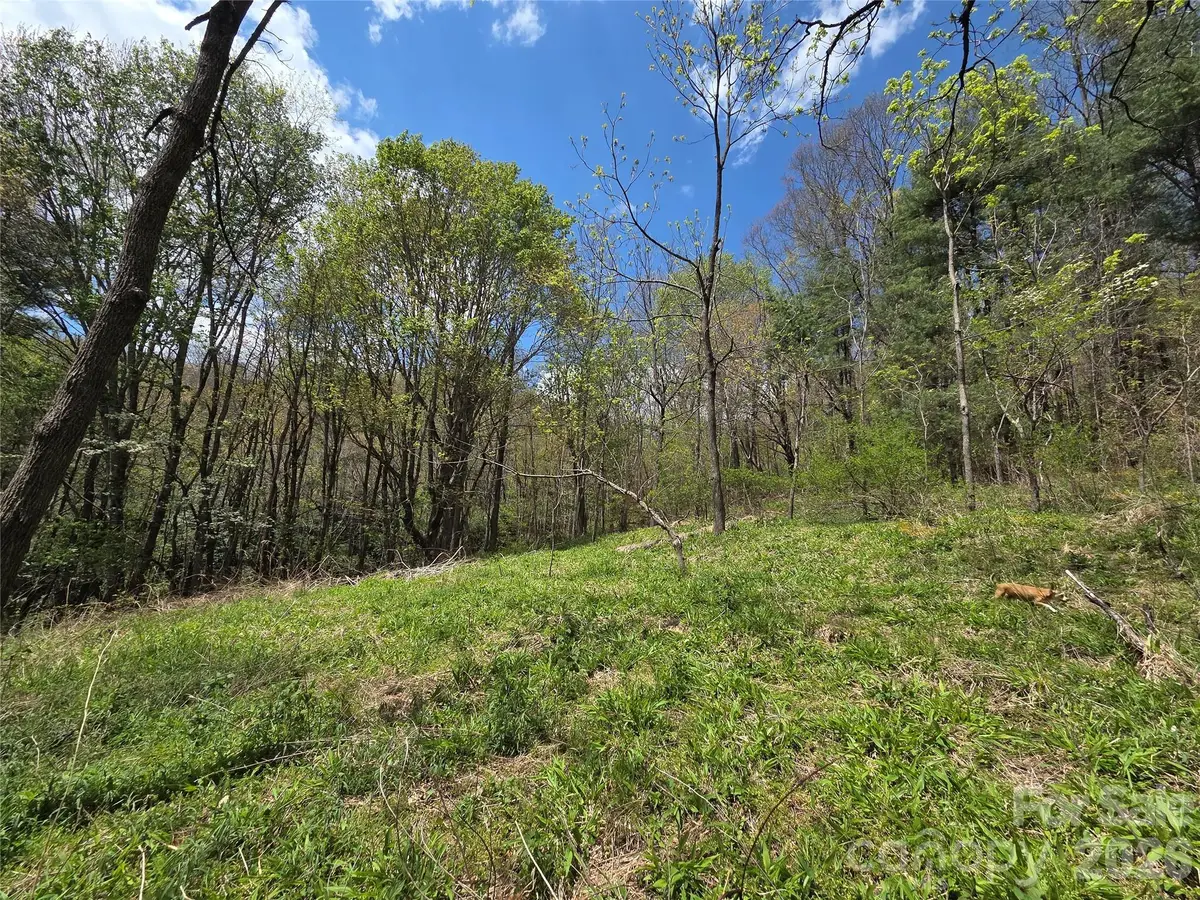 0 Robinson Creek Road, Glenville, NC 28736 - #1