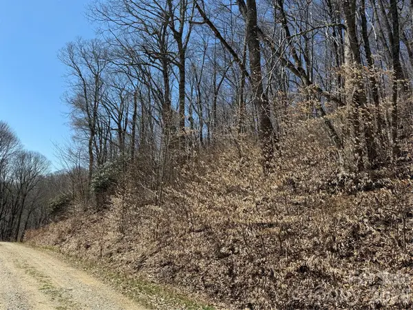 000 Granny Shepherd Road #Lot 2, Mars Hill, NC 28754