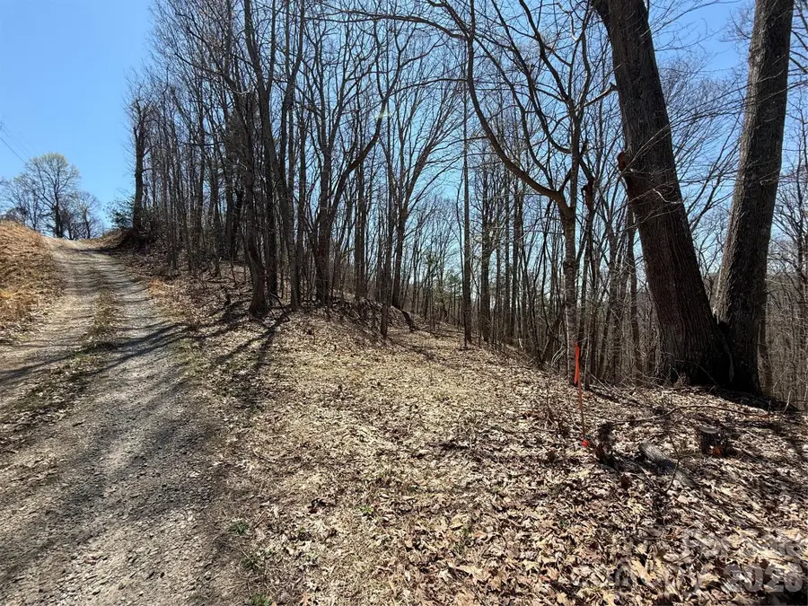 000 Granny Shepherd Road #Lot 2, Mars Hill, NC 28754 - #2