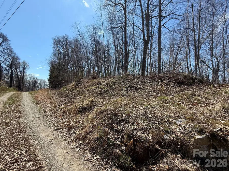 000 Granny Shepherd Road #lot 4, Mars Hill, NC 28754 - #2