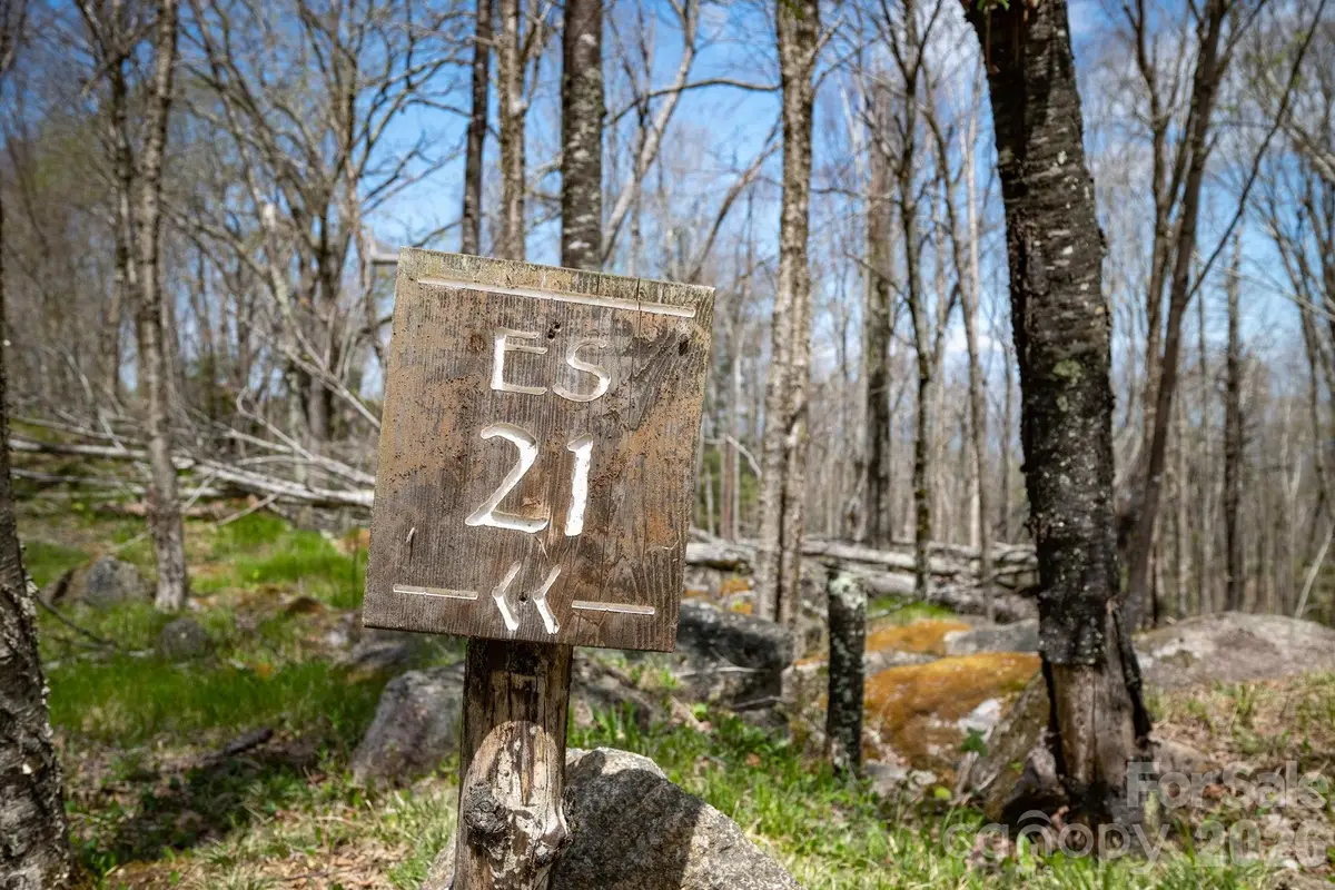 ES-21 Eagle Springs Trail, Banner Elk, NC 28604 - #1