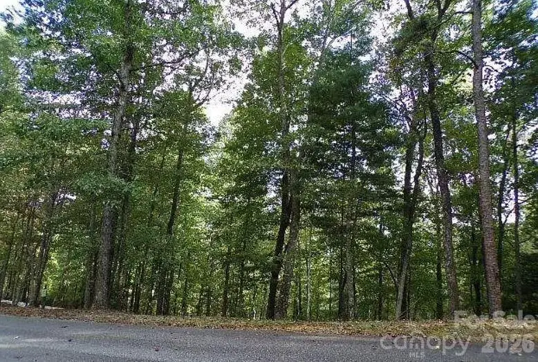 100 Black Bear Ridge Trail, Zirconia, NC 28790 - #2