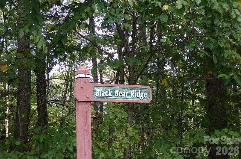 100 Black Bear Ridge Trail, Zirconia, NC 28790 - #3