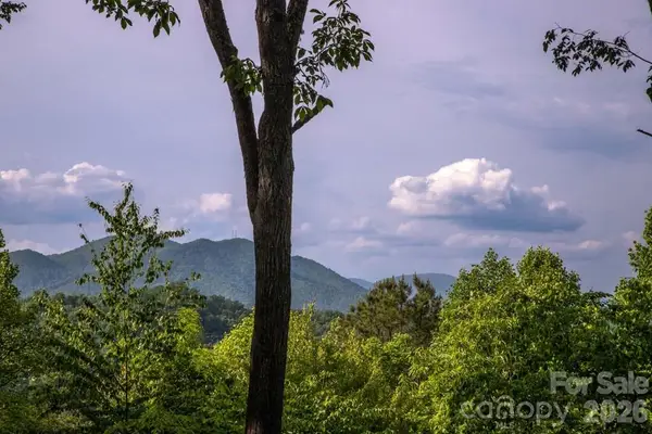 339 Honey Locust Trail #9, Whittier, NC 28789