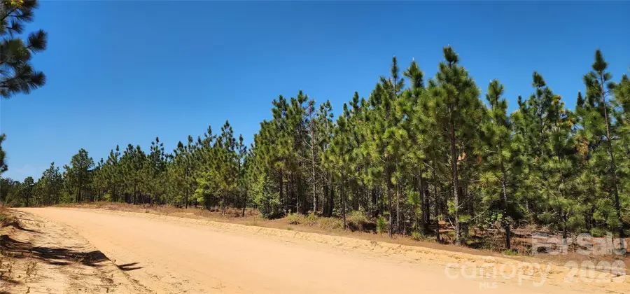 000 Mcqueen Road, Patrick, SC 29584 - #2