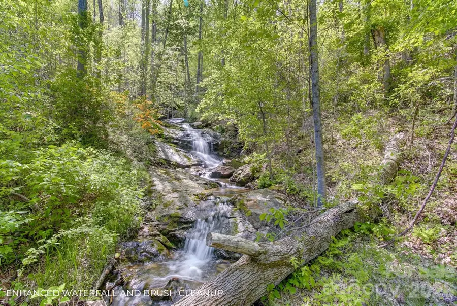 109 & 99999 Apgar Road, Candler, NC 28715 - #3